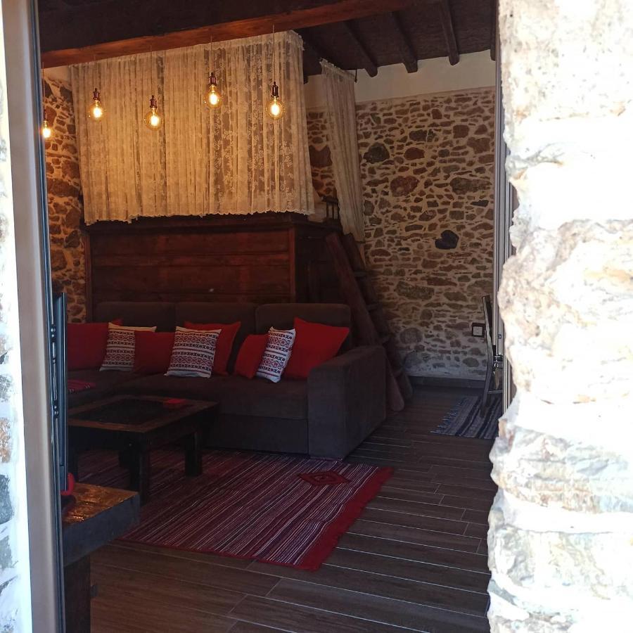 Areti'S Traditional House Apollona Dış mekan fotoğraf